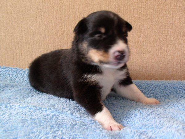 stenata2 tydny 018.jpg